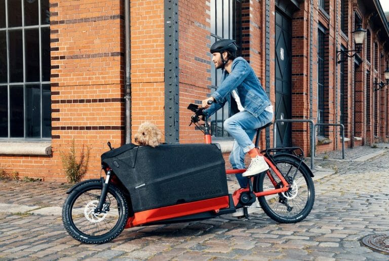 riese-and-muller-packster-70-compact-e-cargo-bike-dog-around-corner