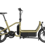 Riese and Muller Carrie Cargo bike touring anise